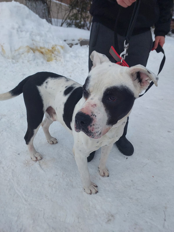 WhatsApp Image 2024-01-22 at 10.34.48 (1)