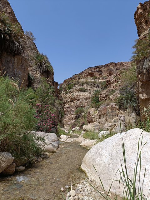 https://i.postimg.cc/q74kkBG5/Wadi-bin-Hammad-14.jpg