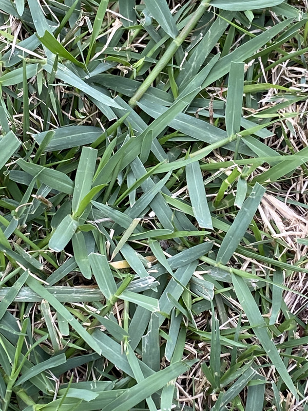 81D4C5D0-0630-41C5-B255-1829AE4C8752