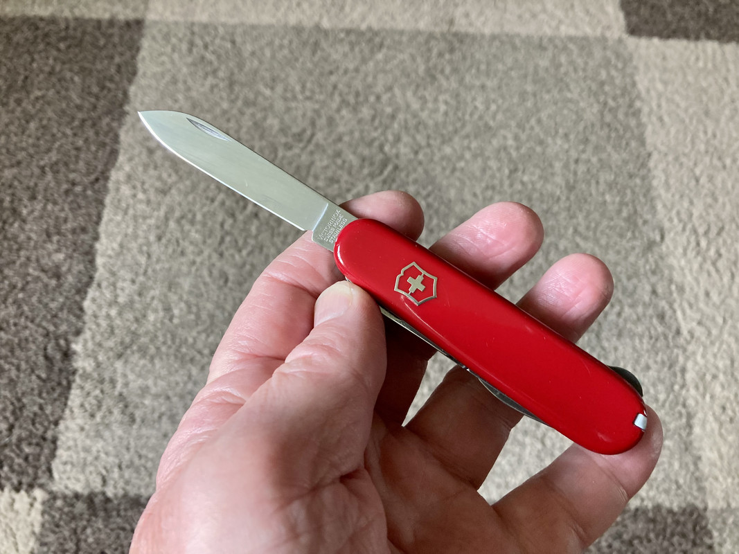 5A95D658-08B1-4E90-A417-8EB2762F714D