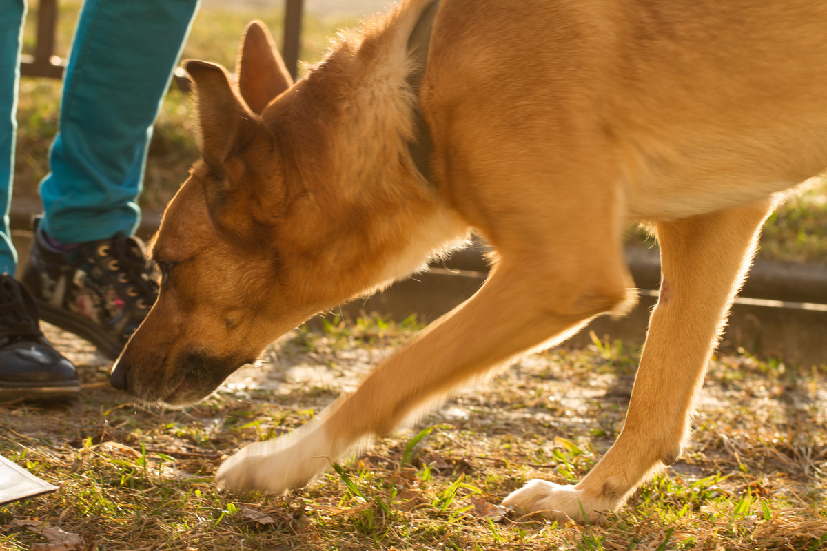 без имени-5298