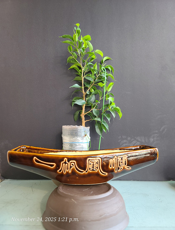 [Image: 20251124-132131.jpg]