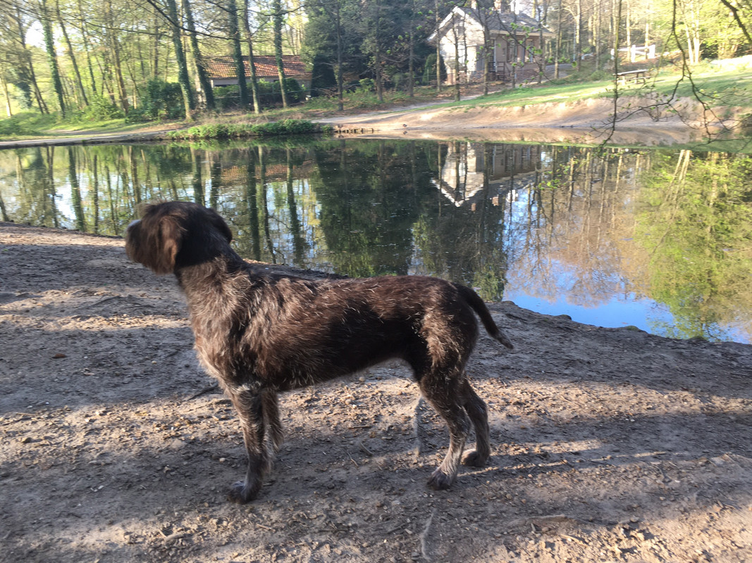 2025-12-04 getrimde Claire IMG_4845 (002).JPG