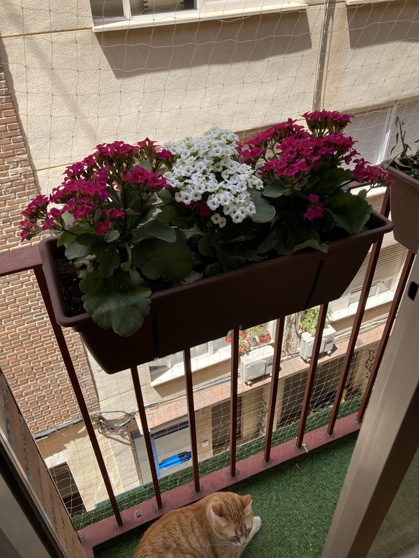 juIdP2SlmiY x8dzqvFA