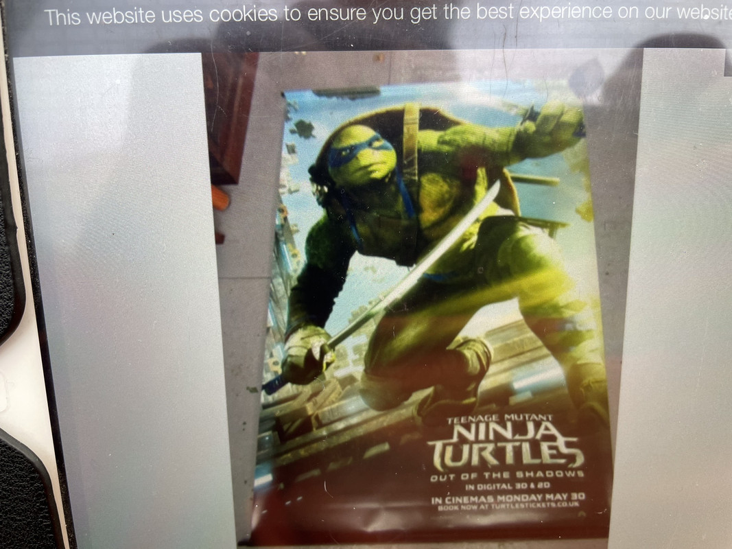 86E9B872-0467-4429-8DBD-C955D343311A