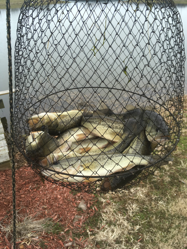 3FB868F4-80CD-4C54-B98E-107EAA2C1774