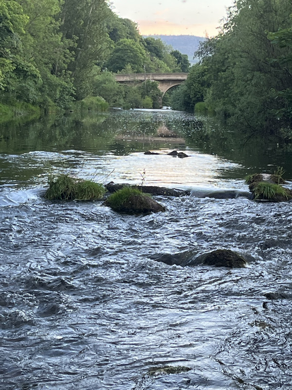 DF8F44D8-B543-4638-A445-0417AAFF4021