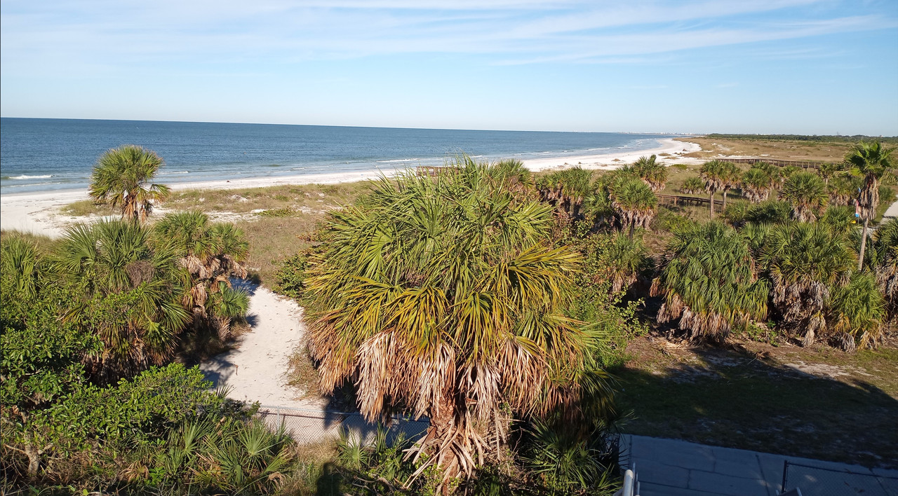 [Image: Florida6.jpg]