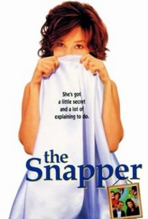 The Snapper (1993) WebDL 1080p 5.1 AC3 ITA - ENG