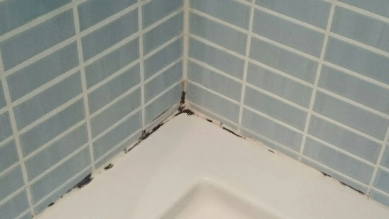 ¿Qué hacer para quitar el moho de la silicona del baño? Elimínalo con este truco
