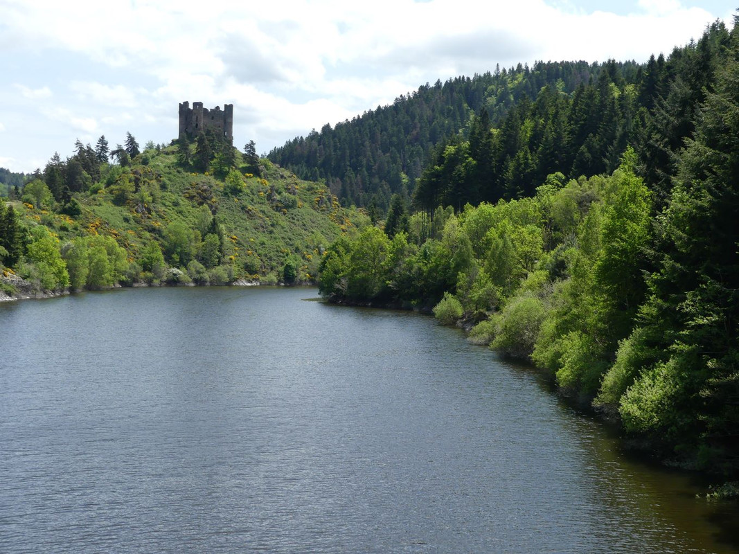 P1090630.jpg