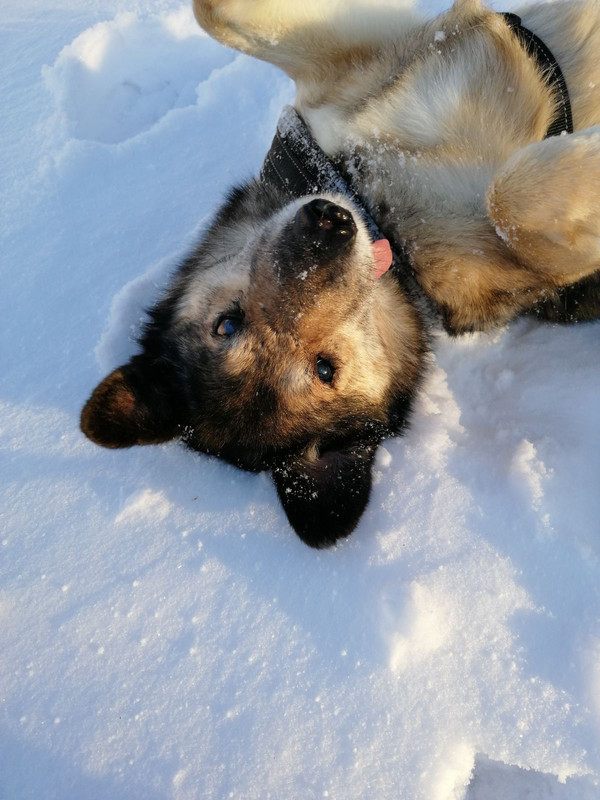 9FB278A0-772A-487F-AE28-5BF1F9B2B54D