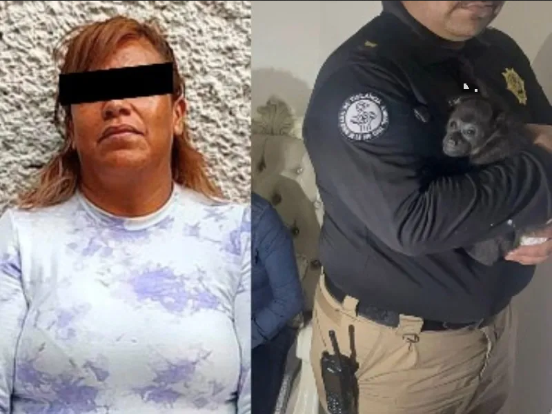 Detienen a ‘La Jefa’ líder criminar de CDMX y Edomex; aseguran droga y un mono