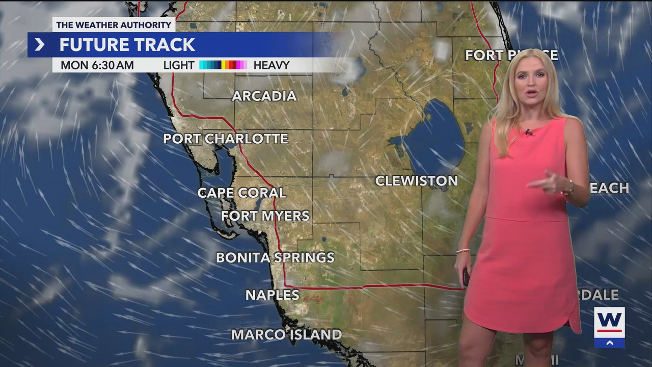 08.12 - 04.00.00 - WINK Weekend News at 11PM Sunday  ᴺᵉʷ. No Descript....ts_snapshot_00.52.19.953