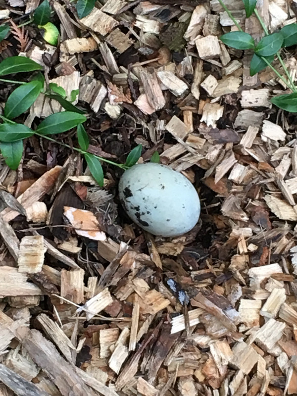 8DAD49BC-464F-443D-A95B-7B1E18E6CC5F