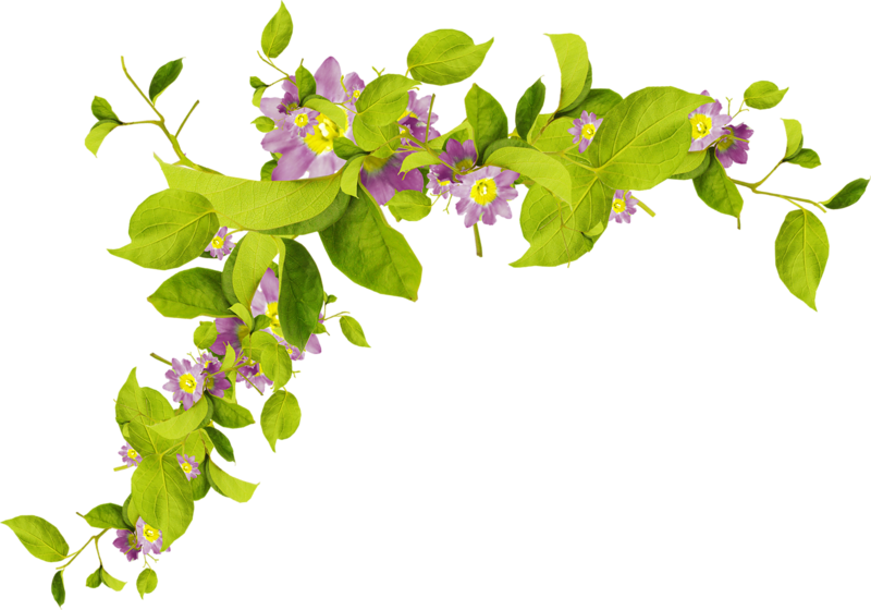 0_1c0e12_7a5de96b_orig