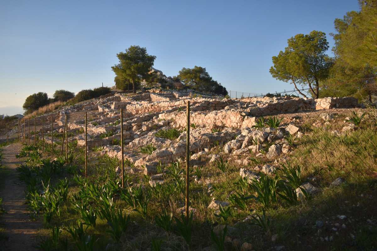 Το ανάκτορο του Αίαντα του Τελαμώνιου (37)
