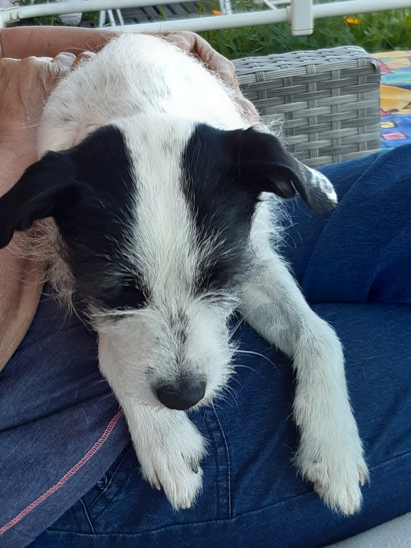 [Image: 20220428-162120.jpg]