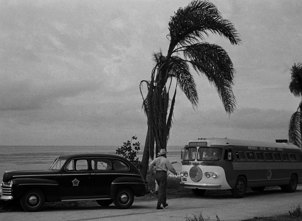 vlcsnap-2021-06-02-00h14m16s382