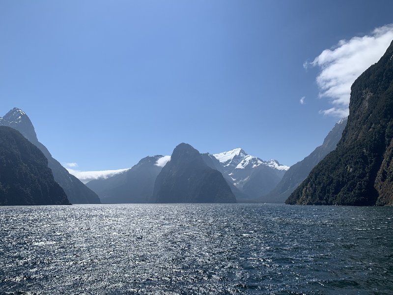 Nueva Zelanda: La primavera Kiwi nos fue marcando la ruta - Blogs de Nueva Zelanda - TeAnau-MilfordSound-TeAnau (4)