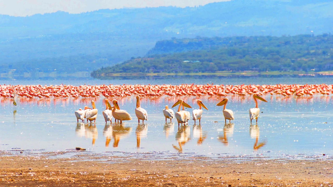 Lake Elementaita landscape in Kenya