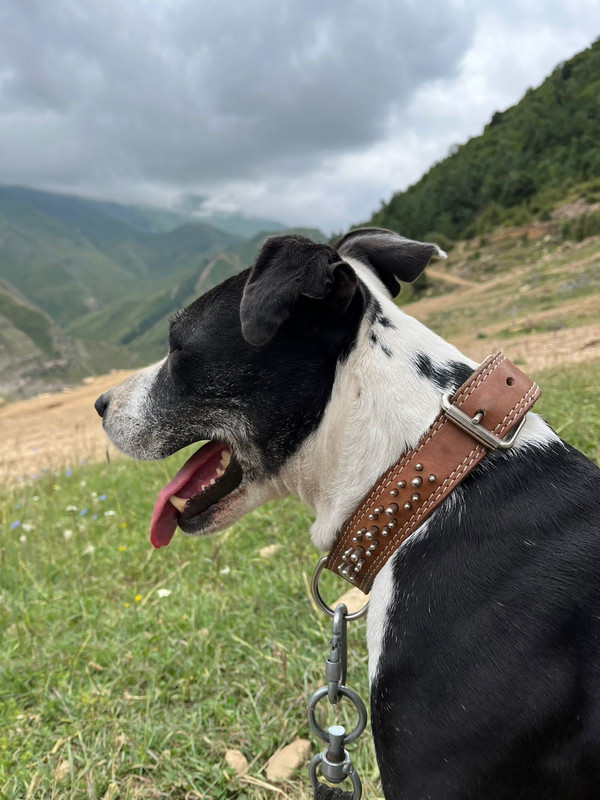 DD870A6A-2A4A-472D-93B9-9DC62FBB11B1