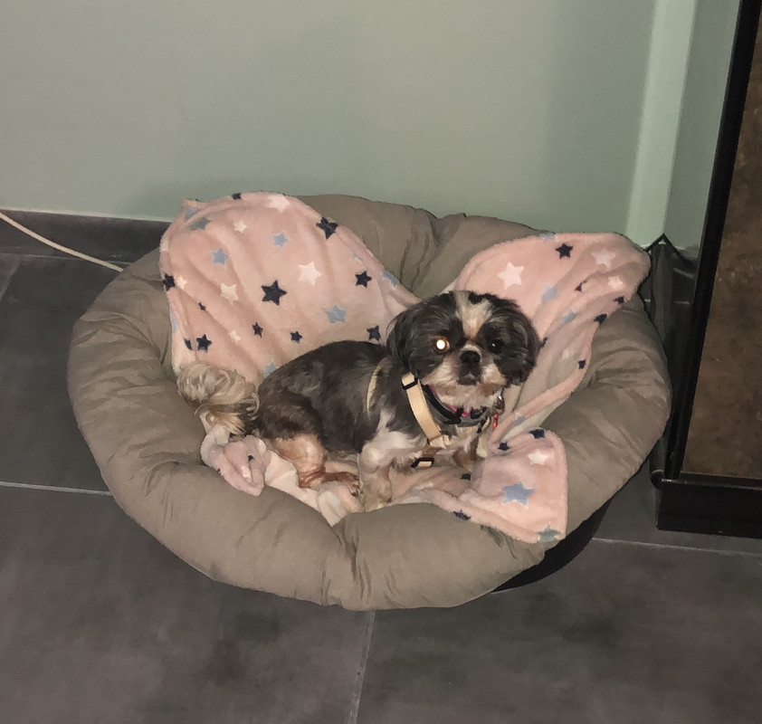 [Image: B2285-F42-B521-4851-8-B30-52-C096-E808-F0.jpg]