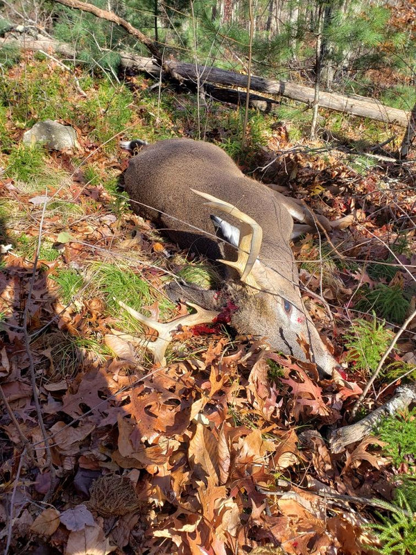 Resized_20191109_111639