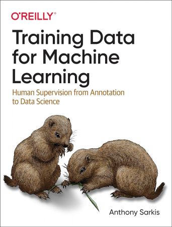 Training Data for Machine Learning: Human Supervision from Annotation to Data Science (True PDF)