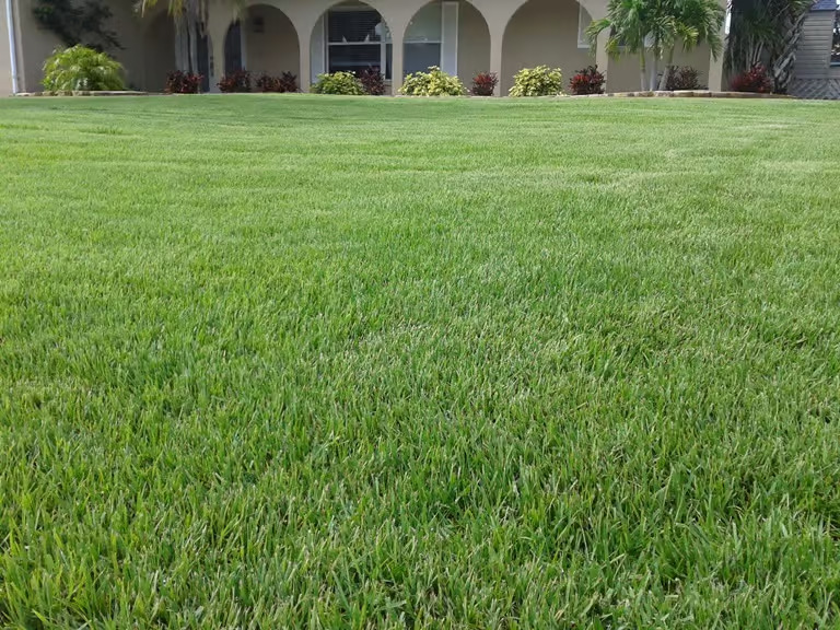 wholesale sod near me