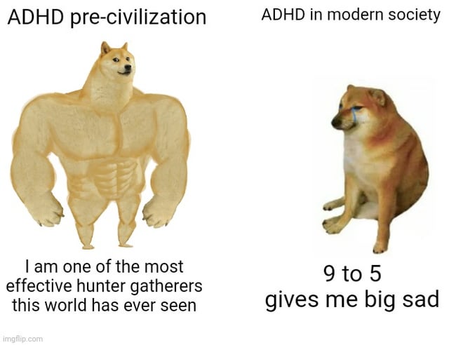 zy9wi08qpvw61.jpg