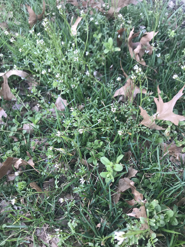 3AD55BB5-C06B-4552-A17B-CD04E8E9F974