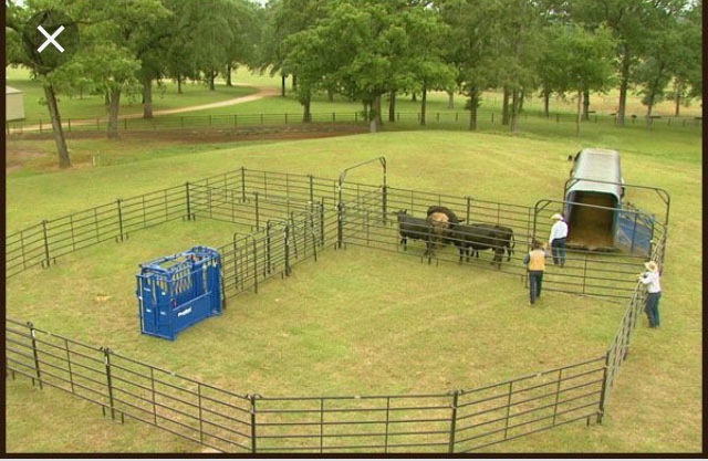 BA2362CE-5B58-4737-B384-3E505C14A610