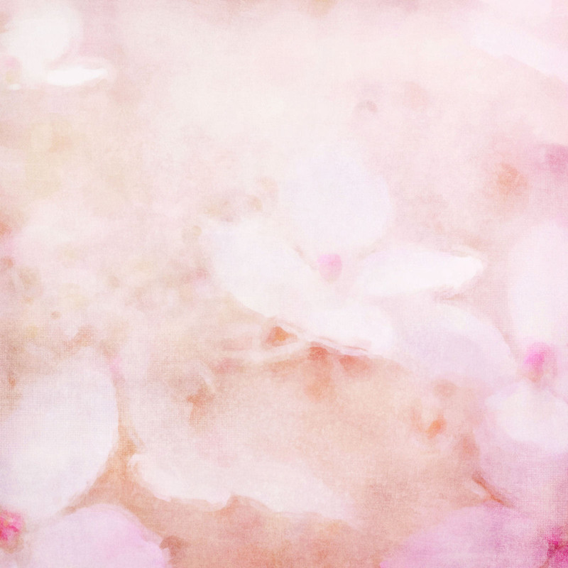 Frame08