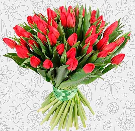 [Image: USF012-500x500-kindlephoto-48900027.jpg]