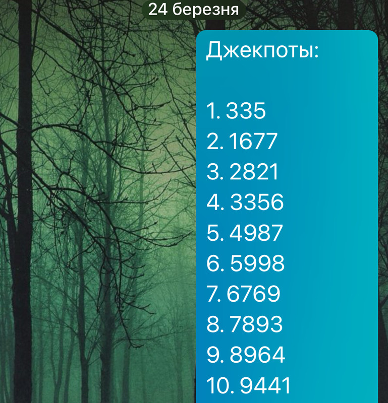 IMG-5084.jpg