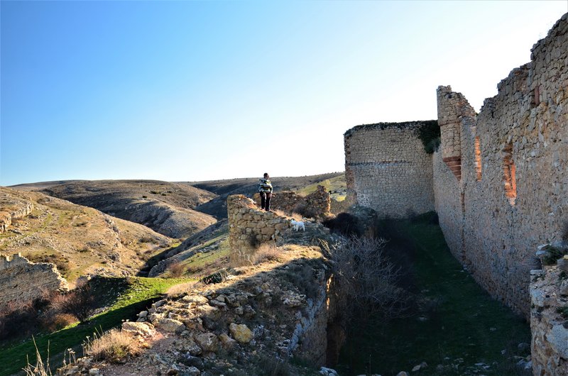 Soria y sus pueblos-2010/2013/2020 - Blogs de España - CARACENA-16-2-2020 (67)