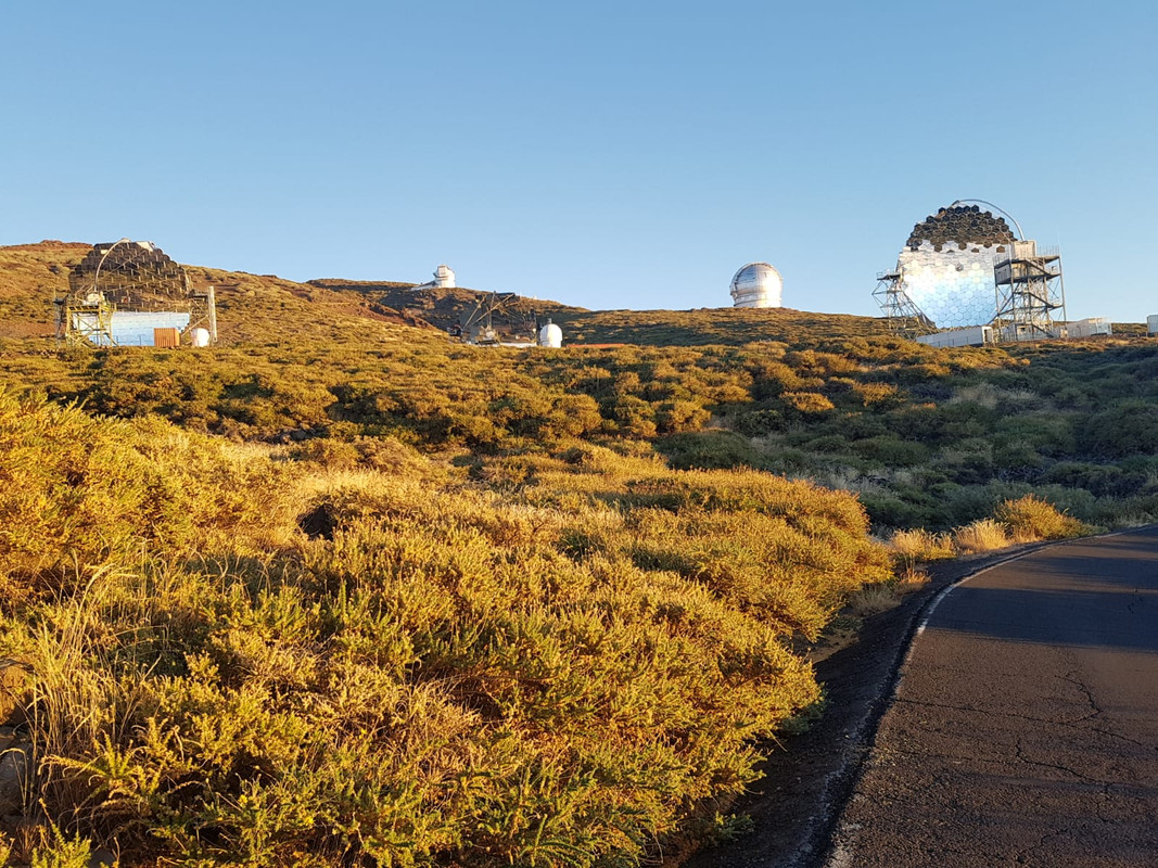 f10cf9ec-e880-41e9-aa4c-cf16000ea4bb