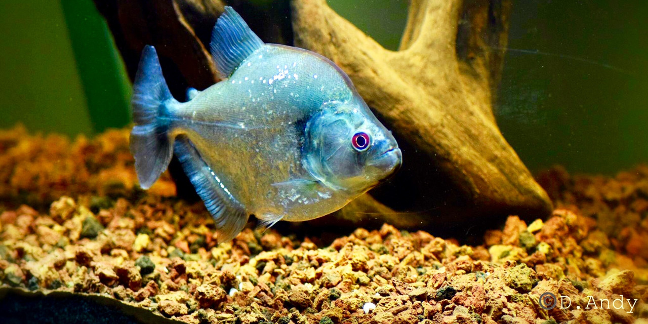 4FF61E6E-7737-42A4-B393-ABE605181371