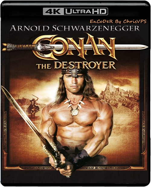 Conan Niszczyciel / Conan the Destroyer (1984) MULTI.AI.REMASTERED.HDR.UP.2160p.BluRay.DTS.HD.MA.AC3-ChrisVPS / LEKTOR i NAPISY