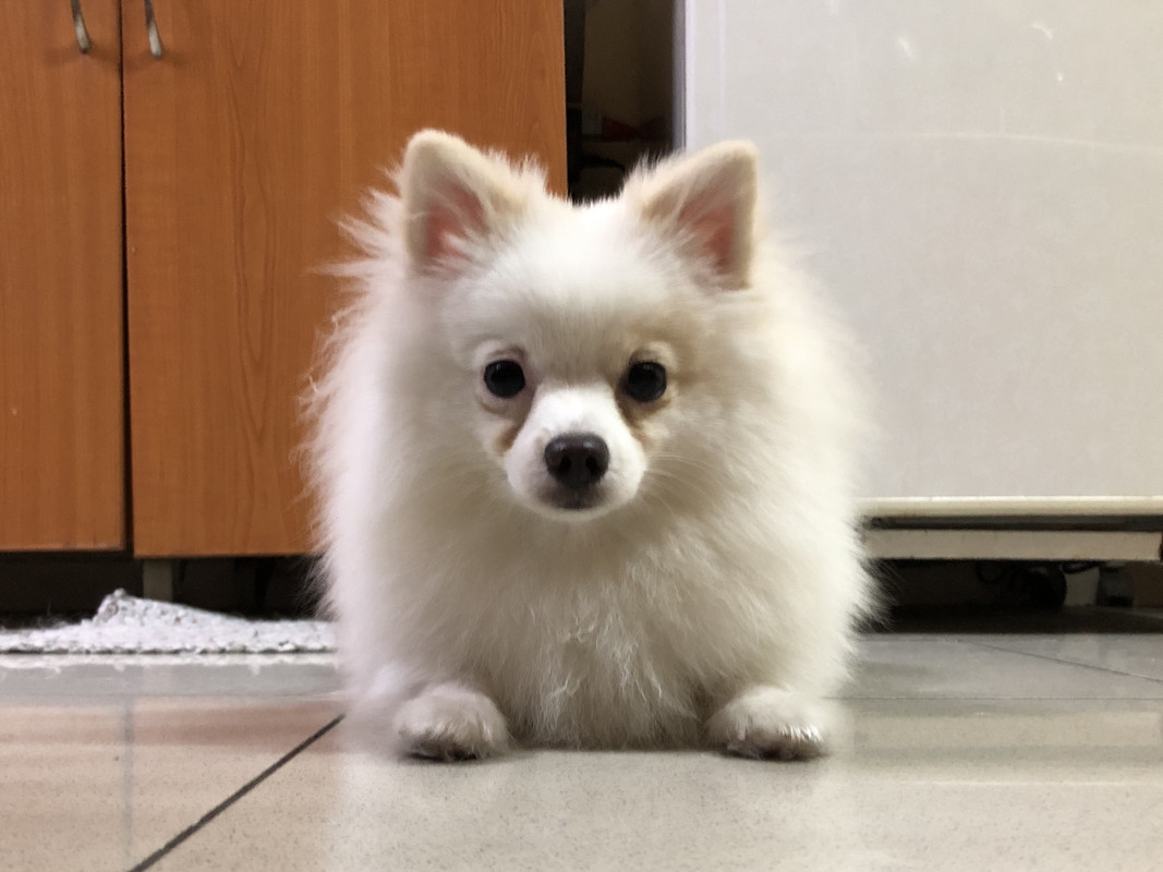 0970E5B7-EF58-4467-8CE4-4B6D77C9F09B