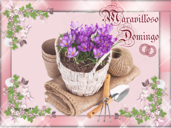 Utiles de Jardineria  Domingo