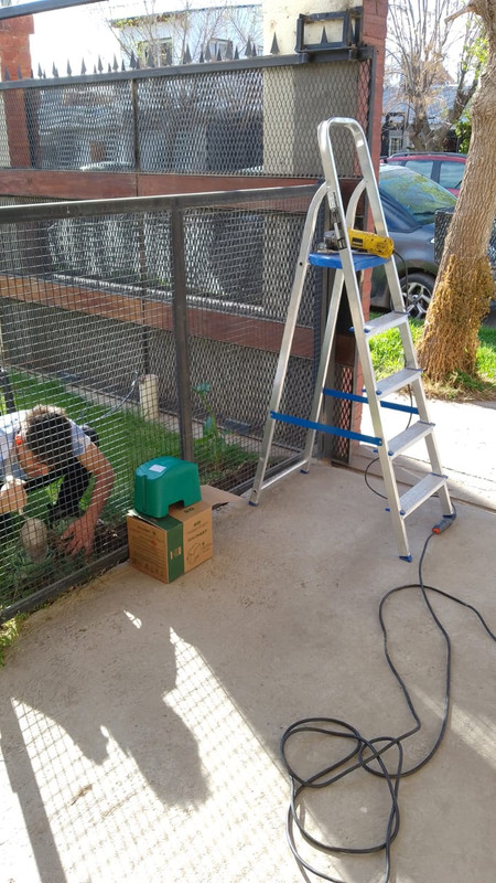 Vivienda familiar con jardín