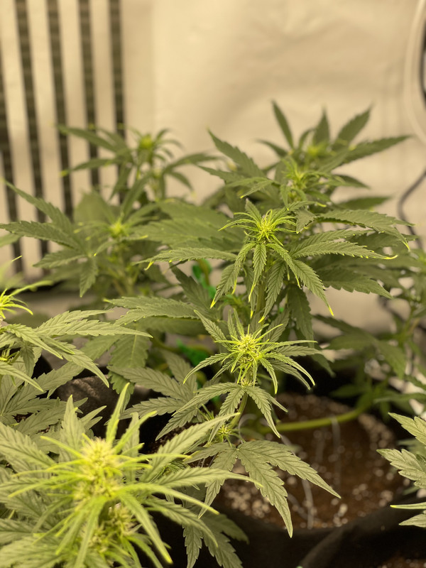 A9533F8E-3F31-4957-A9B1-E05734D48647