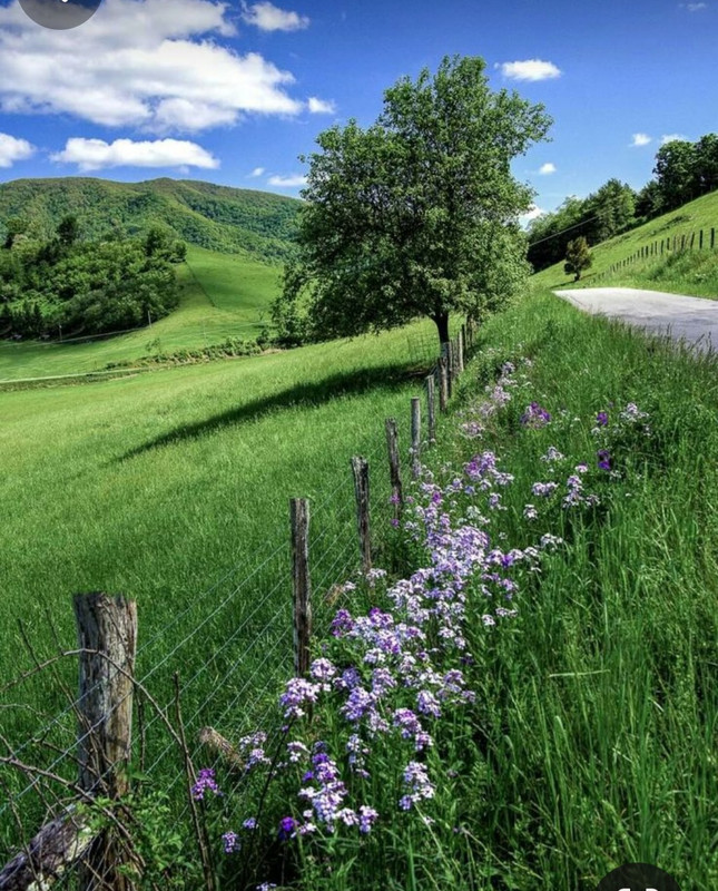 Screenshot_20240320_231009_Pinterest