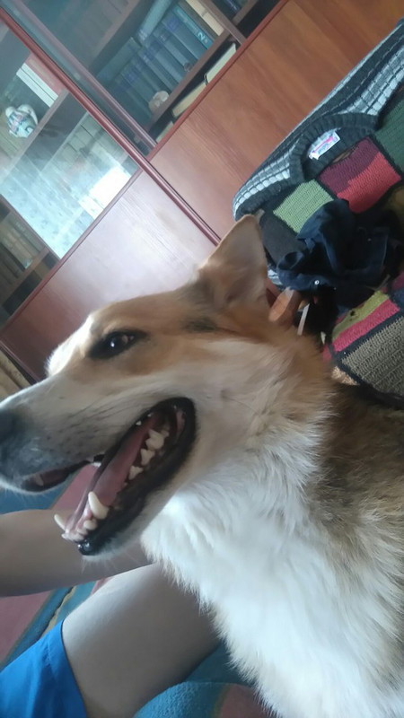 Булька_05_18_1