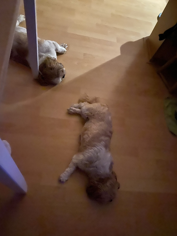 19A059B9-7807-4FDB-822F-87A23759E885