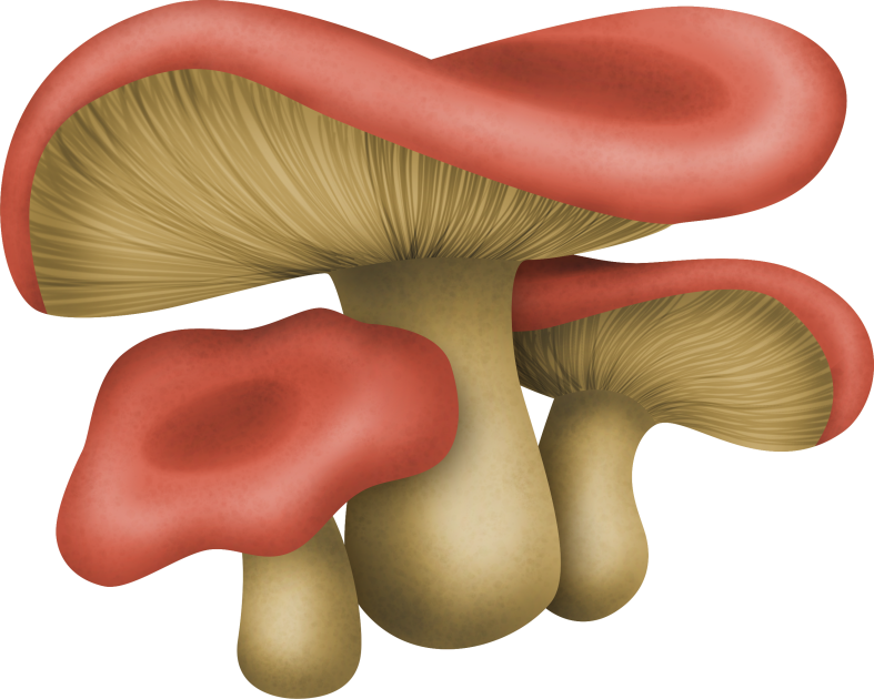 Pumpkinfairykitpudnmushroomss