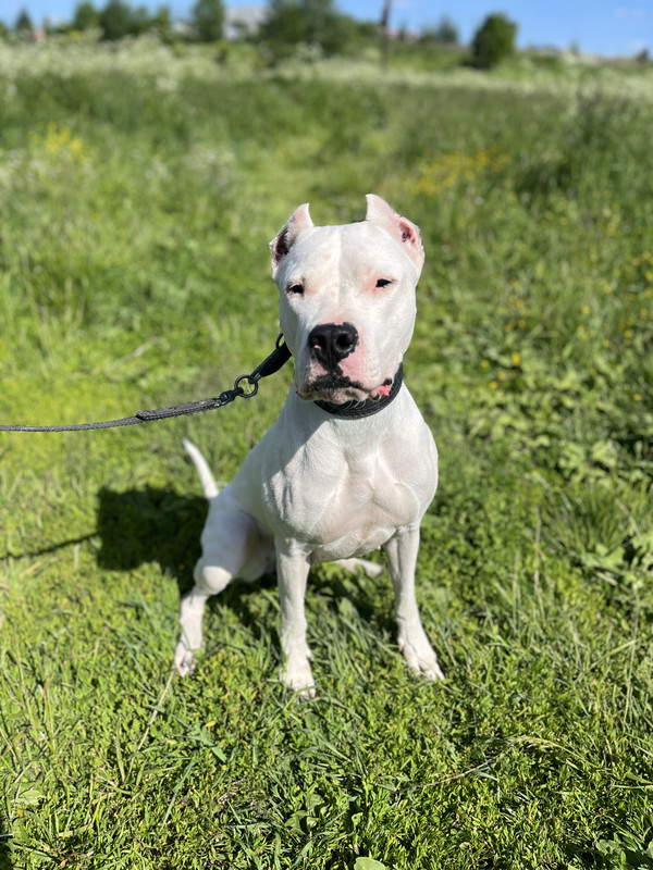 A7E8E353-EDCF-4E0A-B826-E936F94ED1C6