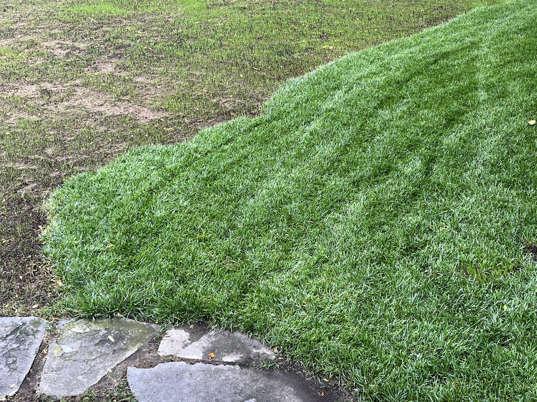 3F02135B-3DB0-48A0-9B21-8B23FB6D5AC6